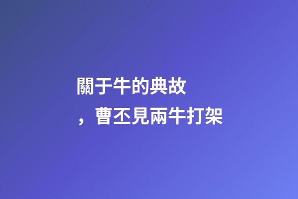 關于牛的典故，曹丕見兩牛打架
